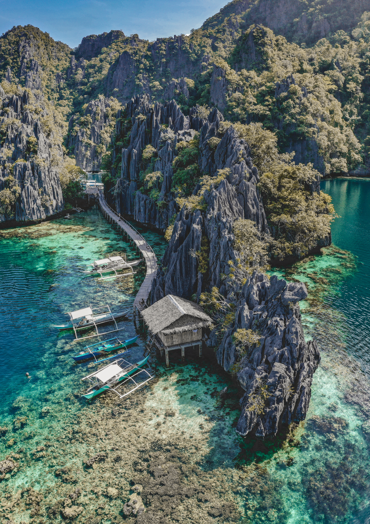 Where to travel in January