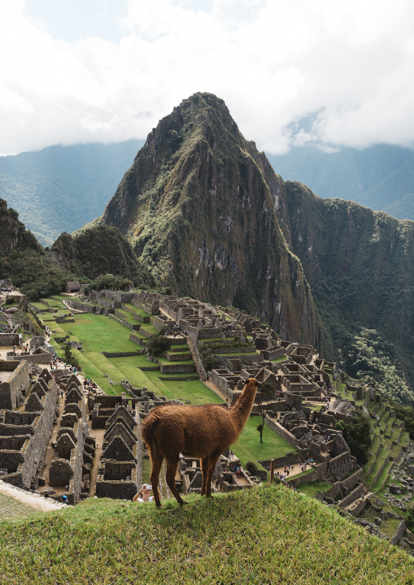 Where to travel in January